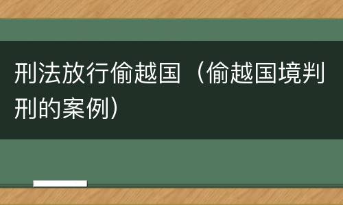 刑法放行偷越国（偷越国境判刑的案例）