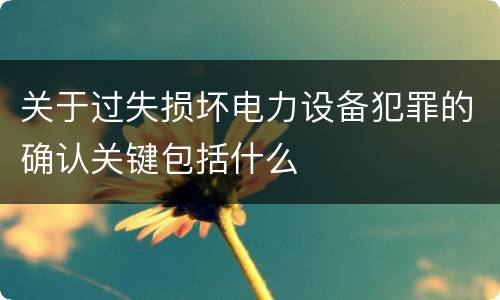 关于过失损坏电力设备犯罪的确认关键包括什么