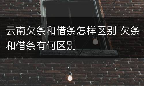 云南欠条和借条怎样区别 欠条和借条有何区别
