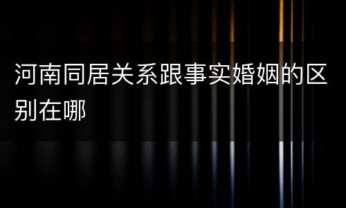 河南同居关系跟事实婚姻的区别在哪