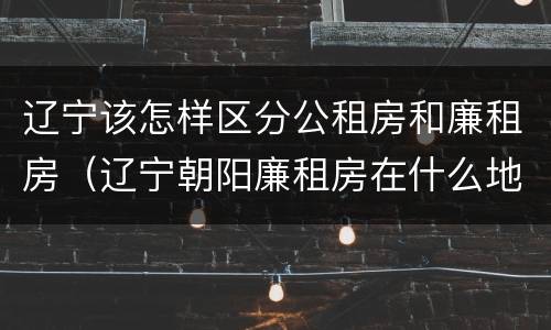 辽宁该怎样区分公租房和廉租房（辽宁朝阳廉租房在什么地方）