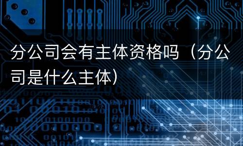 分公司会有主体资格吗（分公司是什么主体）