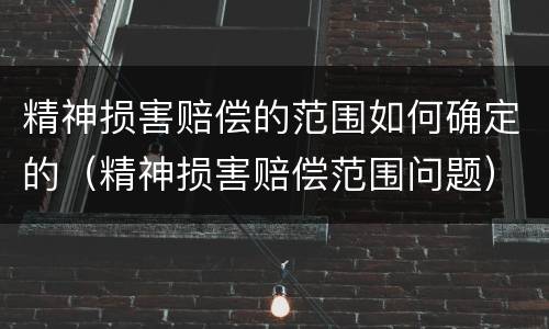 精神损害赔偿的范围如何确定的（精神损害赔偿范围问题）