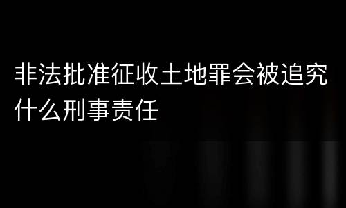 非法批准征收土地罪会被追究什么刑事责任