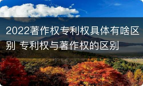 2022著作权专利权具体有啥区别 专利权与著作权的区别
