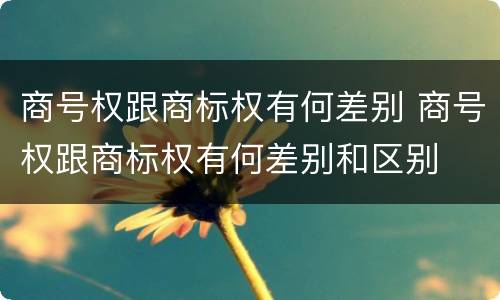商号权跟商标权有何差别 商号权跟商标权有何差别和区别