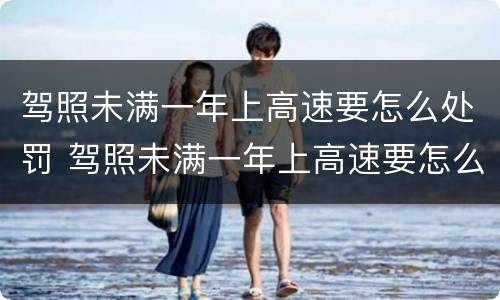 驾照未满一年上高速要怎么处罚 驾照未满一年上高速要怎么处罚呢