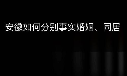 安徽如何分别事实婚姻、同居