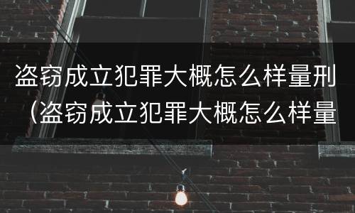 盗窃成立犯罪大概怎么样量刑（盗窃成立犯罪大概怎么样量刑的）