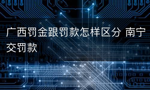 广西罚金跟罚款怎样区分 南宁交罚款