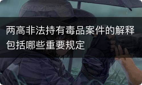 两高非法持有毒品案件的解释包括哪些重要规定