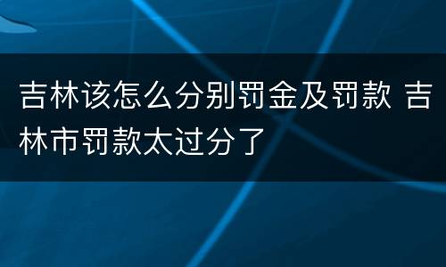 吉林该怎么分别罚金及罚款 吉林市罚款太过分了
