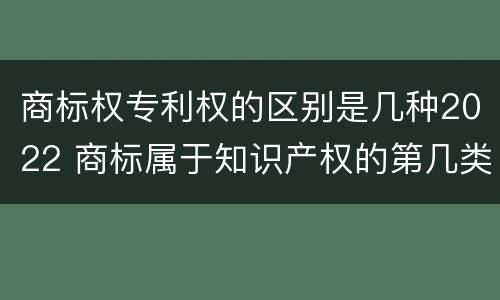 商标权专利权的区别是几种2022 商标属于知识产权的第几类