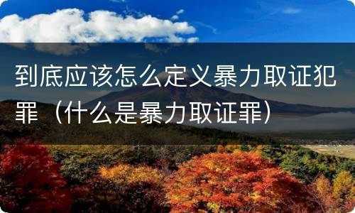到底应该怎么定义暴力取证犯罪（什么是暴力取证罪）