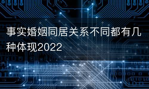 事实婚姻同居关系不同都有几种体现2022