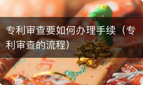 专利审查要如何办理手续（专利审查的流程）