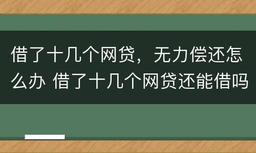 借了十几个网贷，无力偿还怎么办 借了十几个网贷还能借吗