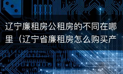 辽宁廉租房公租房的不同在哪里（辽宁省廉租房怎么购买产权）