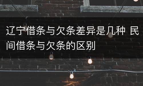 辽宁借条与欠条差异是几种 民间借条与欠条的区别