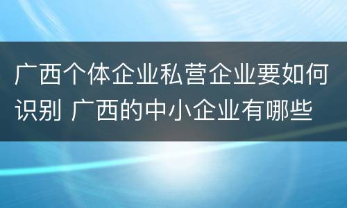 广西个体企业私营企业要如何识别 广西的中小企业有哪些