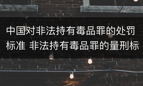 中国对非法持有毒品罪的处罚标准 非法持有毒品罪的量刑标准