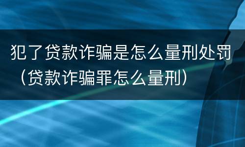 犯了贷款诈骗是怎么量刑处罚（贷款诈骗罪怎么量刑）