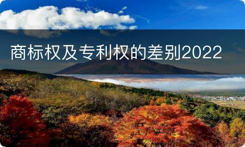 商标权及专利权的差别2022