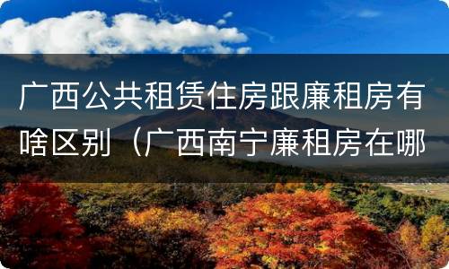 广西公共租赁住房跟廉租房有啥区别（广西南宁廉租房在哪个区域）