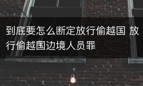 到底要怎么断定放行偷越国 放行偷越国边境人员罪