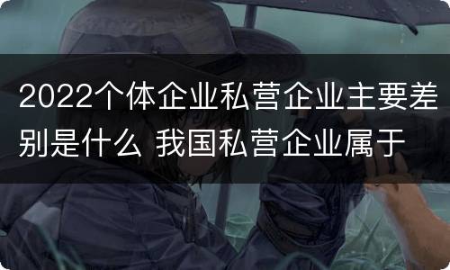 2022个体企业私营企业主要差别是什么 我国私营企业属于