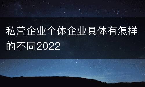私营企业个体企业具体有怎样的不同2022