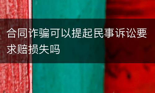 合同诈骗可以提起民事诉讼要求赔损失吗