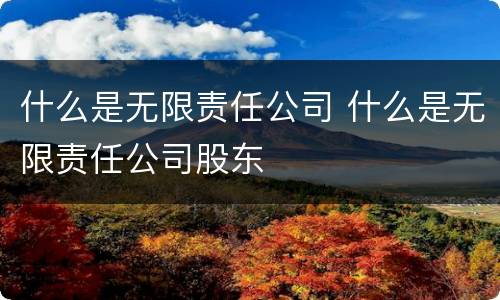什么是无限责任公司 什么是无限责任公司股东