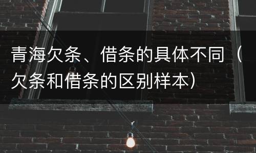 青海欠条、借条的具体不同（欠条和借条的区别样本）