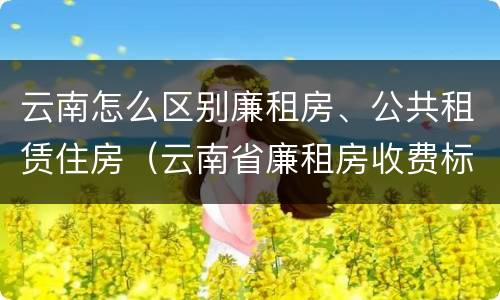 云南怎么区别廉租房、公共租赁住房（云南省廉租房收费标准）