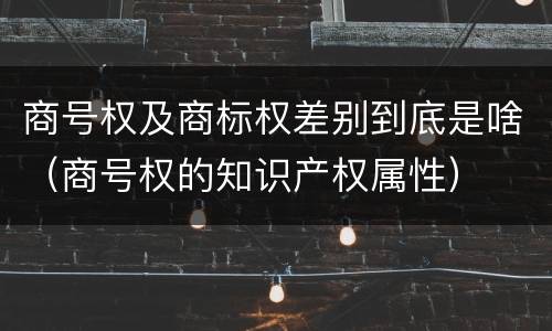 商号权及商标权差别到底是啥（商号权的知识产权属性）
