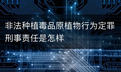 非法种植毒品原植物行为定罪刑事责任是怎样