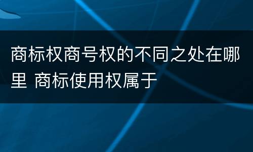 商标权商号权的不同之处在哪里 商标使用权属于