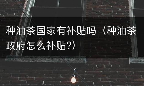 种油茶国家有补贴吗（种油茶政府怎么补贴?）
