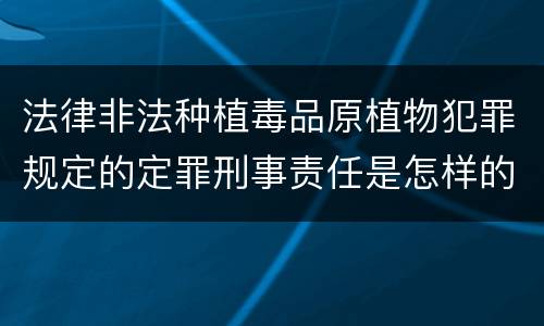 法律非法种植毒品原植物犯罪规定的定罪刑事责任是怎样的
