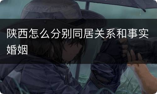 陕西怎么分别同居关系和事实婚姻