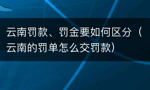 云南罚款、罚金要如何区分（云南的罚单怎么交罚款）