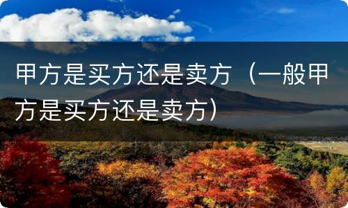 甲方是买方还是卖方（一般甲方是买方还是卖方）