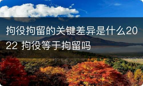 拘役拘留的关键差异是什么2022 拘役等于拘留吗