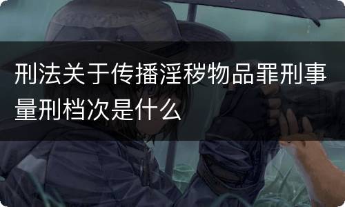 刑法关于传播淫秽物品罪刑事量刑档次是什么