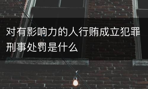 对有影响力的人行贿成立犯罪刑事处罚是什么