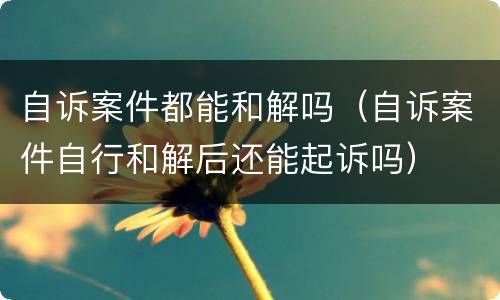 自诉案件都能和解吗（自诉案件自行和解后还能起诉吗）