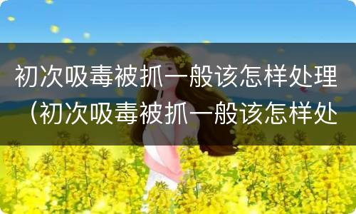 初次吸毒被抓一般该怎样处理（初次吸毒被抓一般该怎样处理好）