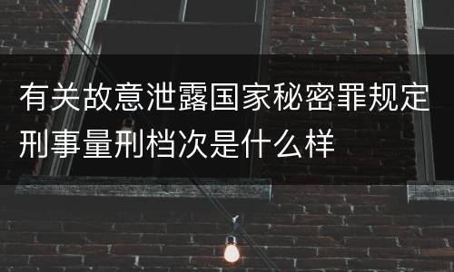 有关故意泄露国家秘密罪规定刑事量刑档次是什么样