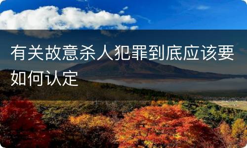 有关故意杀人犯罪到底应该要如何认定